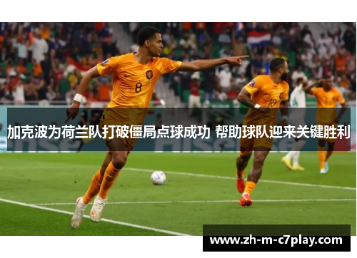 加克波为荷兰队打破僵局点球成功 帮助球队迎来关键胜利